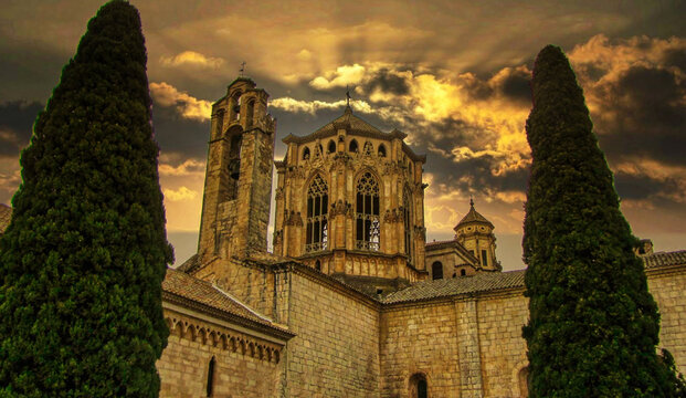 Poblet (Vimbod&iacute;) - Monastir (claustre) - Conca de Barber&agrave;