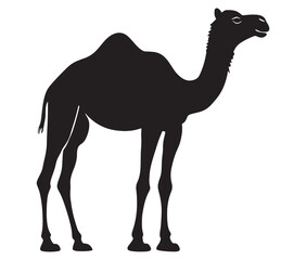 Camel in desert silhouette vector 