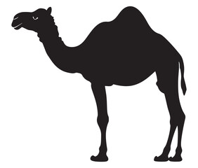 Camel in desert silhouette vector 