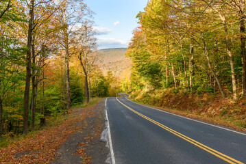 Obraz premium Deserted forest road in the mountains under blue sky during the autumn colour season