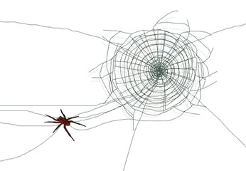 A drawing of a spider weaving a web. On a white background.