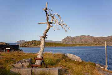 Family with children and pet dog, visiting Nordkapp during the summer holiday