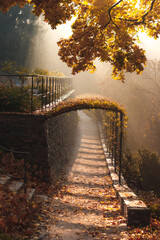 Fototapeta premium Sun shining through the trees on a path in a park in autumn in Pruhonice park