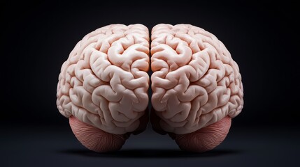 Symmetry in Human Brain Function, Explore the role of symmetry in the brains hemispheres and how this influences cognitive processes, such as creativity and logical reasoning