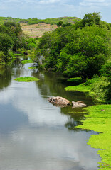 Fototapeta premium River in the interior of northeastern Brazil with plenty of water, during the rainy season. Piranhas River, Pombal, Paraíba, Brazil.