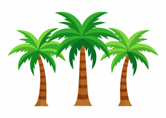 three palm tree vector illustration