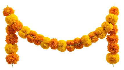 Colorful marigold garland used in celebrations, cut out transparent