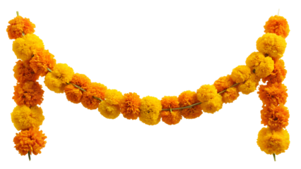 Colorful marigold garland used in celebrations, cut out transparent