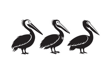Pelican silhouette vector illustration, Pelican silhouette vector bundle, Pelican silhouette