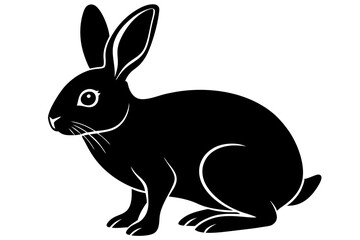 Fototapeta premium rabbit isolated on white