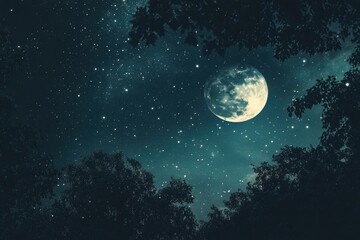 A Night Sky with a Full Moon and Silhouetted Trees