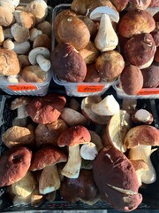 Porcini mushrooms in a box