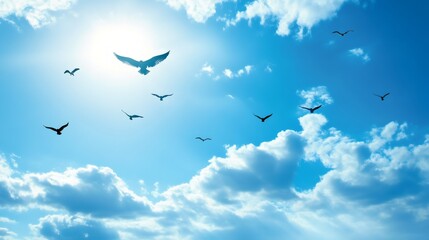 Birds flying in a blue sky with white clouds.