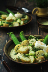 A bowl with farming summer salad in rustic style