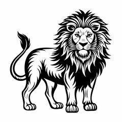 Obraz premium lion picture