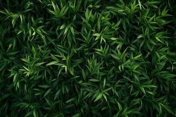 Top View of Green Grass Texture, Seamless Pattern. AI generated illustration