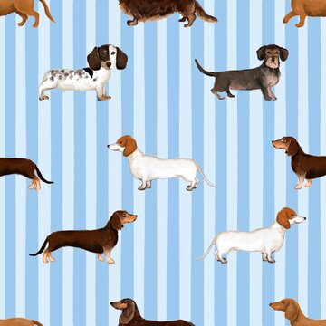 dachshund dogs seamless pattern