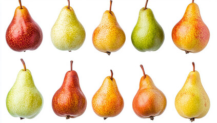 A collection of pears in various shapes and sizes
