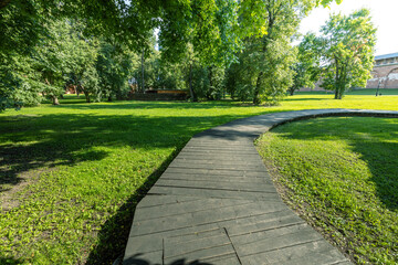 A path in a park with trees and grass