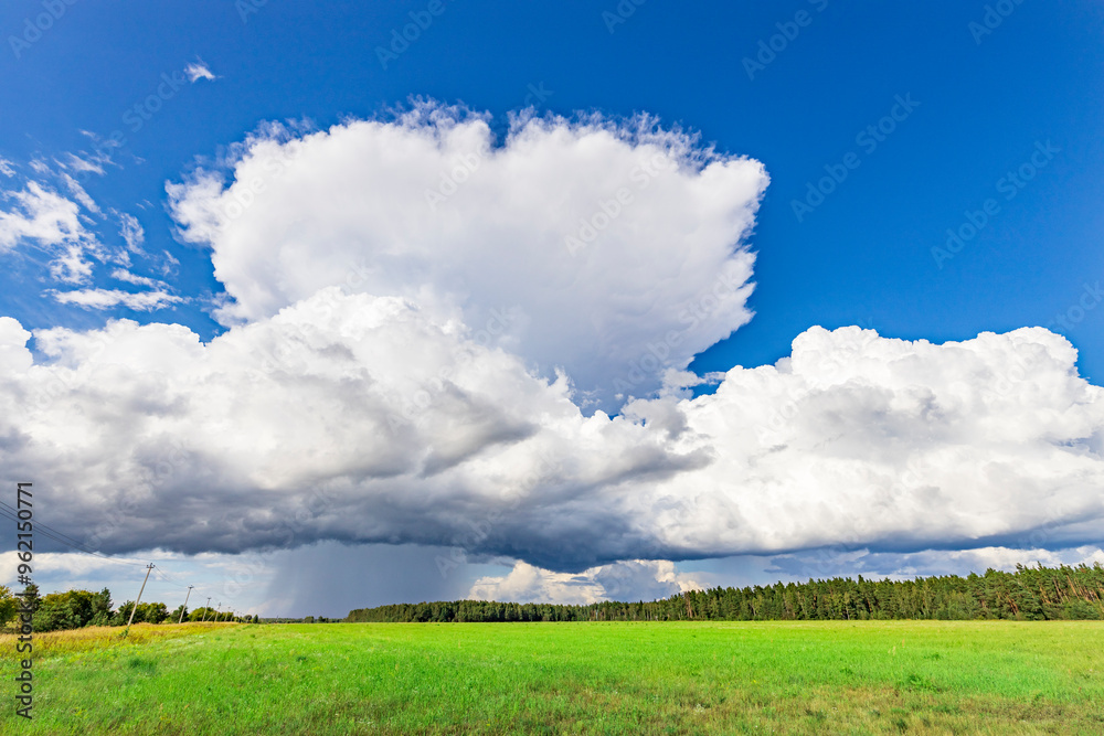 Wall mural a large cloud is in the sky above a field of grass