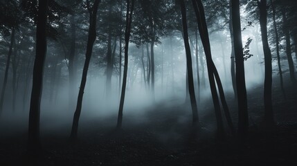 Fototapeta premium A cinematic shot of a haunted forest, with fog rising from the ground and eerie shadows moving in the trees