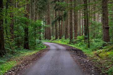 Empty bending road through the woods at the Belgian German border around Kelmis - Aachen, Germany