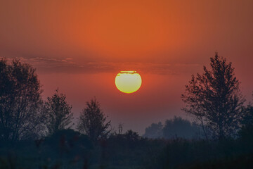 sunset in the forest 