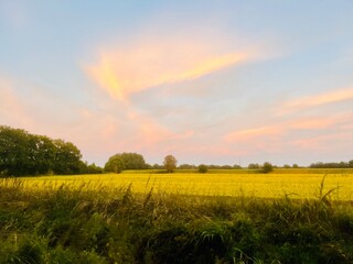 Obraz premium Fantastic sunset sky in the green field, twilights in the countryside