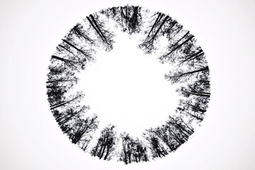 Abstract black and white circular arrangement of tree silhouettes creating a striking natural ring shape with clear center