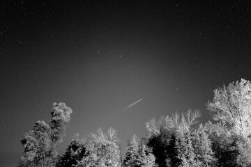 Stars out at night