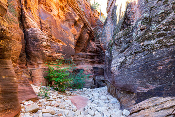 Hiking in a slot canyon at Zion National Park.