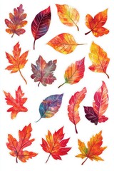 Colorful autumn leaves in vibrant hues displayed in a creative arrangement on a white background