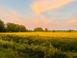 Obraz premium Fantastic sunset sky in the green field, twilights in the countryside