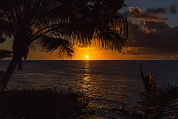 Dramatic Tropical Sunset with Palm Silhouettes