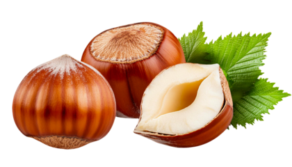 hazelnuts with leaves isolated on transparent background.