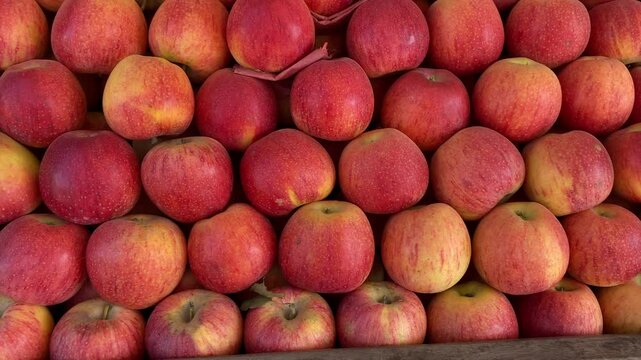 Epic View of Fresh Apples Fruit in a Local Fruit Store