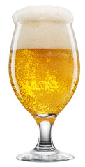 Glass of chilled light beer with beer foam head isolated on white background. Clipping path.