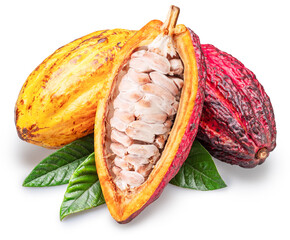 Cocoa fruits or cocoa pods and green leaves isolated on white background. Clipping path.