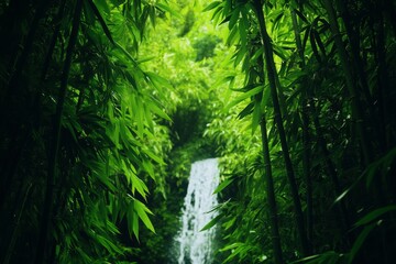 Fototapeta premium A tranquil scene of a waterfall cascading through a dense bamboo forest, symbolizing peace, serenity, nature's beauty, renewal, and tranquility.