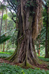 Jardim recanto de paz com a natureza