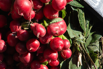 Frutas vermelhas na feira