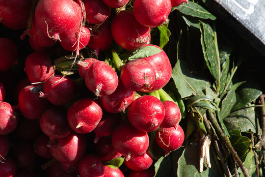 Frutas vermelhas na feira