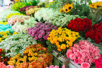 Flores coloridas a venda