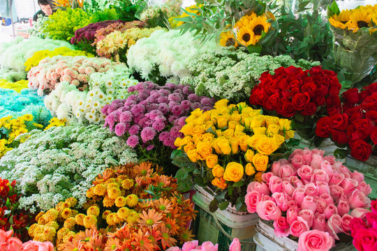 Flores coloridas a venda