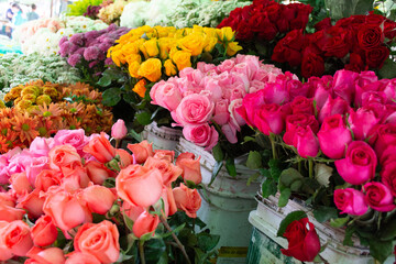Flores coloridas a venda