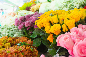 Flores coloridas a venda