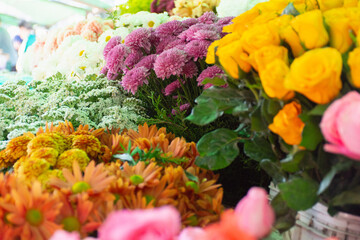 Flores coloridas a venda