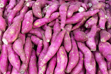 Batata doce na feira