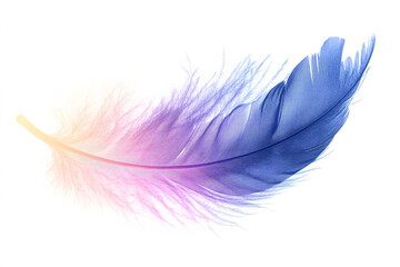A soft gradient feather transitioning from pale blue to deep purple, with intricate details, isolated against a white background.
