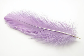 A soft pastel lavender feather with gentle fibers, standing out delicately against the white backdrop.
